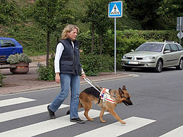 Zwei perfekte Führgespannpartner