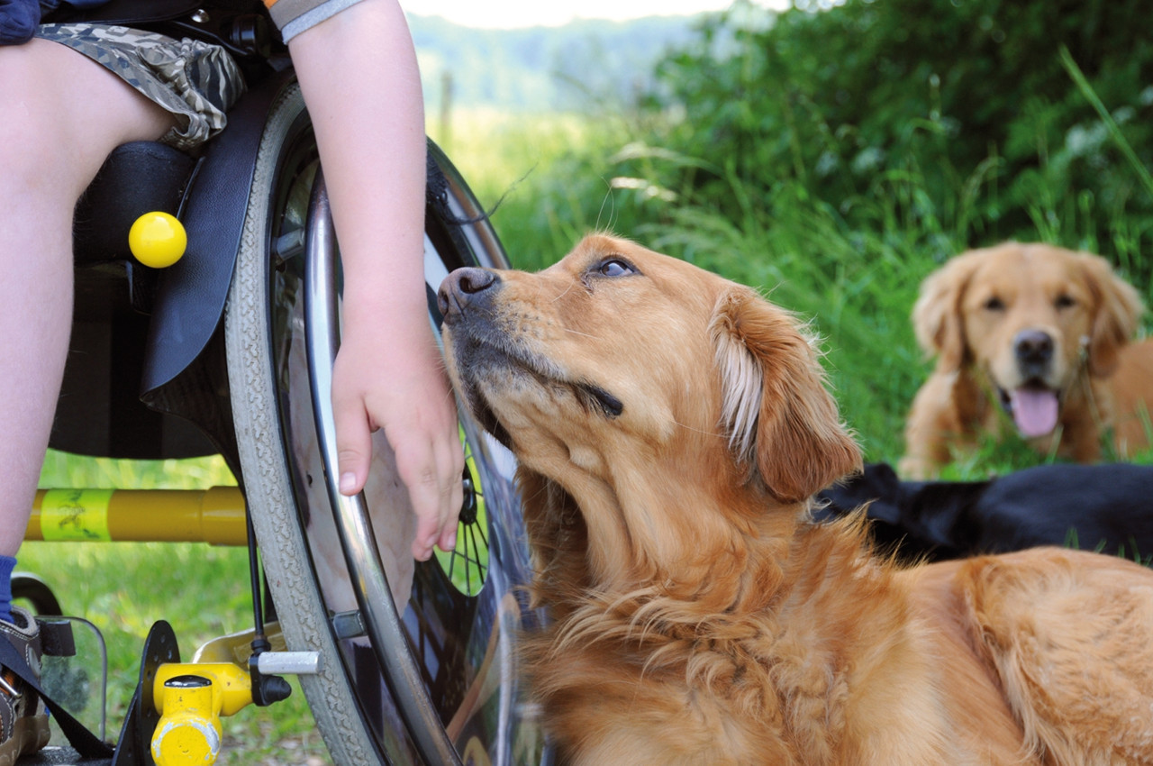 Kind mit Servicehund